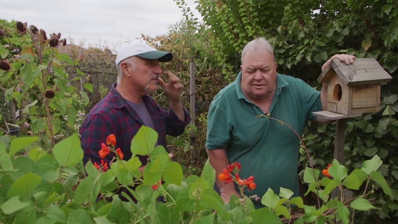 Taste Test Craig Castree's Multi Grafted Apple Tree