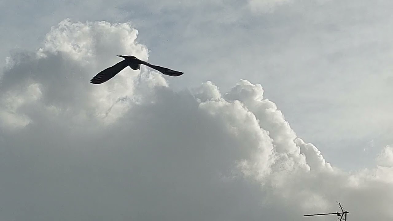 When the sun comes out 27.1.2026 