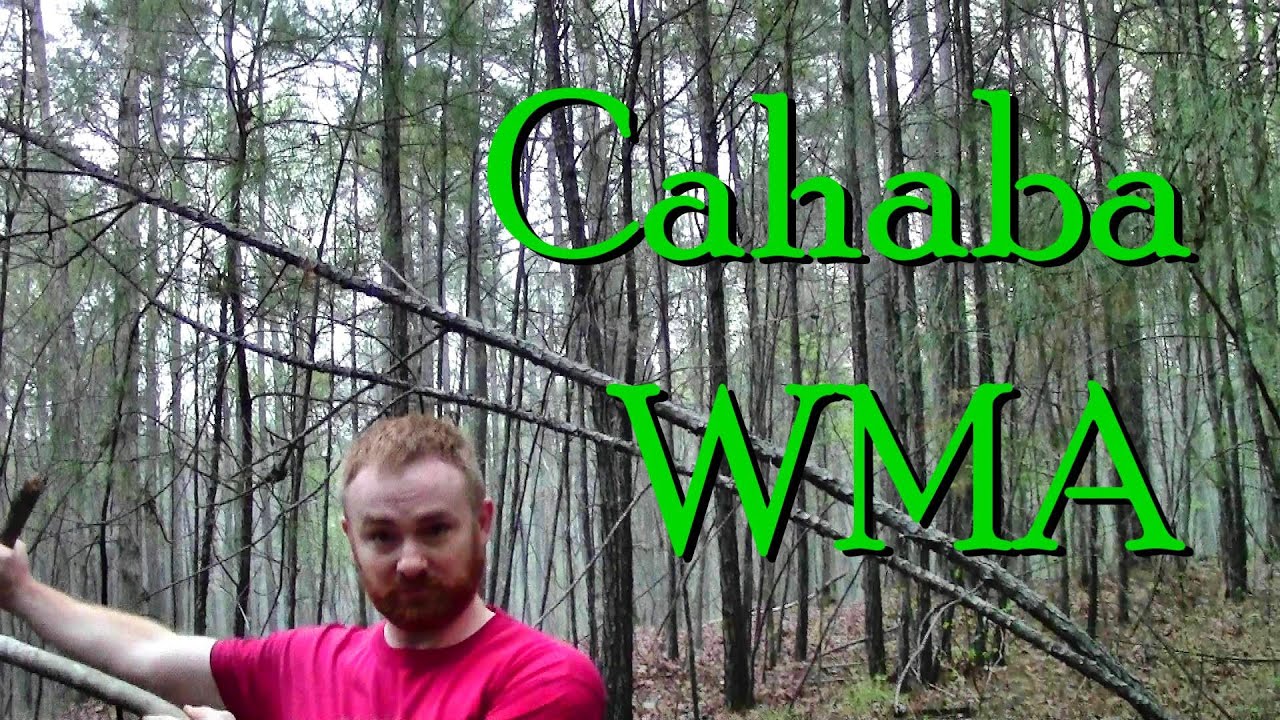 224 / Cahaba Scout Trip  (ALABAMA)