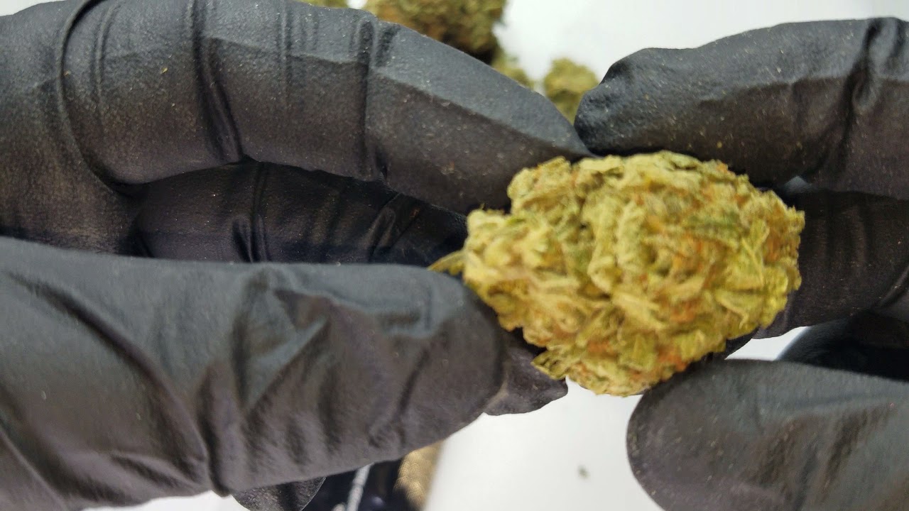 AK47 Cannabis Strain (unboxing)