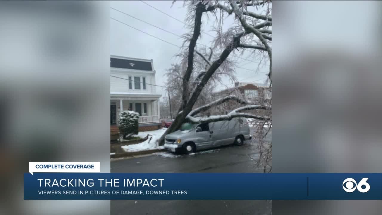 Pictures: Ice storm leaves downed trees, damaged cars