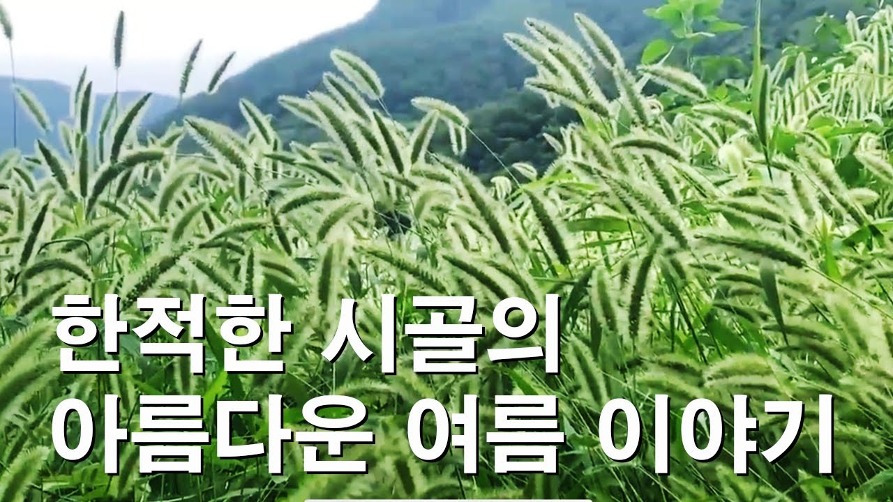 산책과 초대 - 고요한 시골 마을의 여름 속으로!