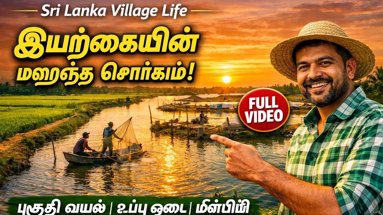 மீன்பிடி, இரால் பண்ணை, இயற்கை – கிராமத்தின் உண்மை அழகு!” 🦐🌿