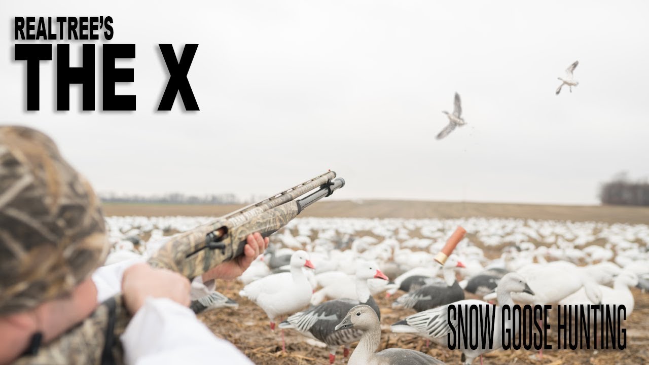 The X: Conservation Snow Goose Season