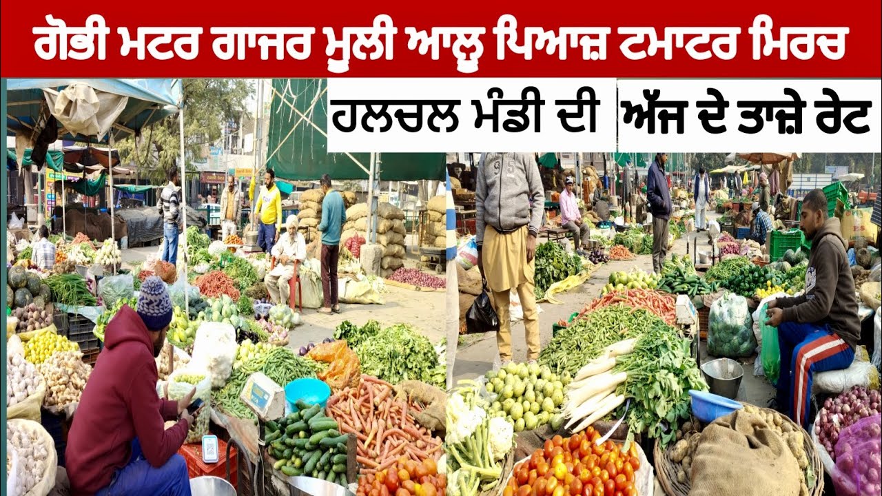 Market price in Punjab 23-2-2026
