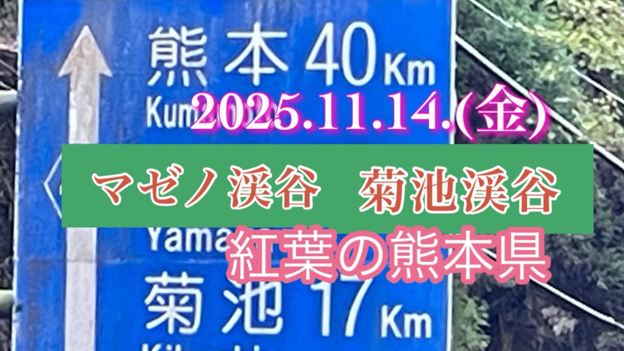 熊本県へ紅葉の渓谷とミルクロードを行く　#大観峰 #ミルクロード #菊池渓谷 #マゼノ渓谷