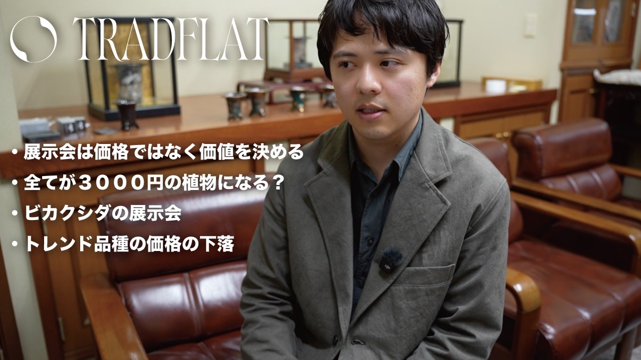 【TRADFLAT】なぜビカクシダの展示会に協賛するのか