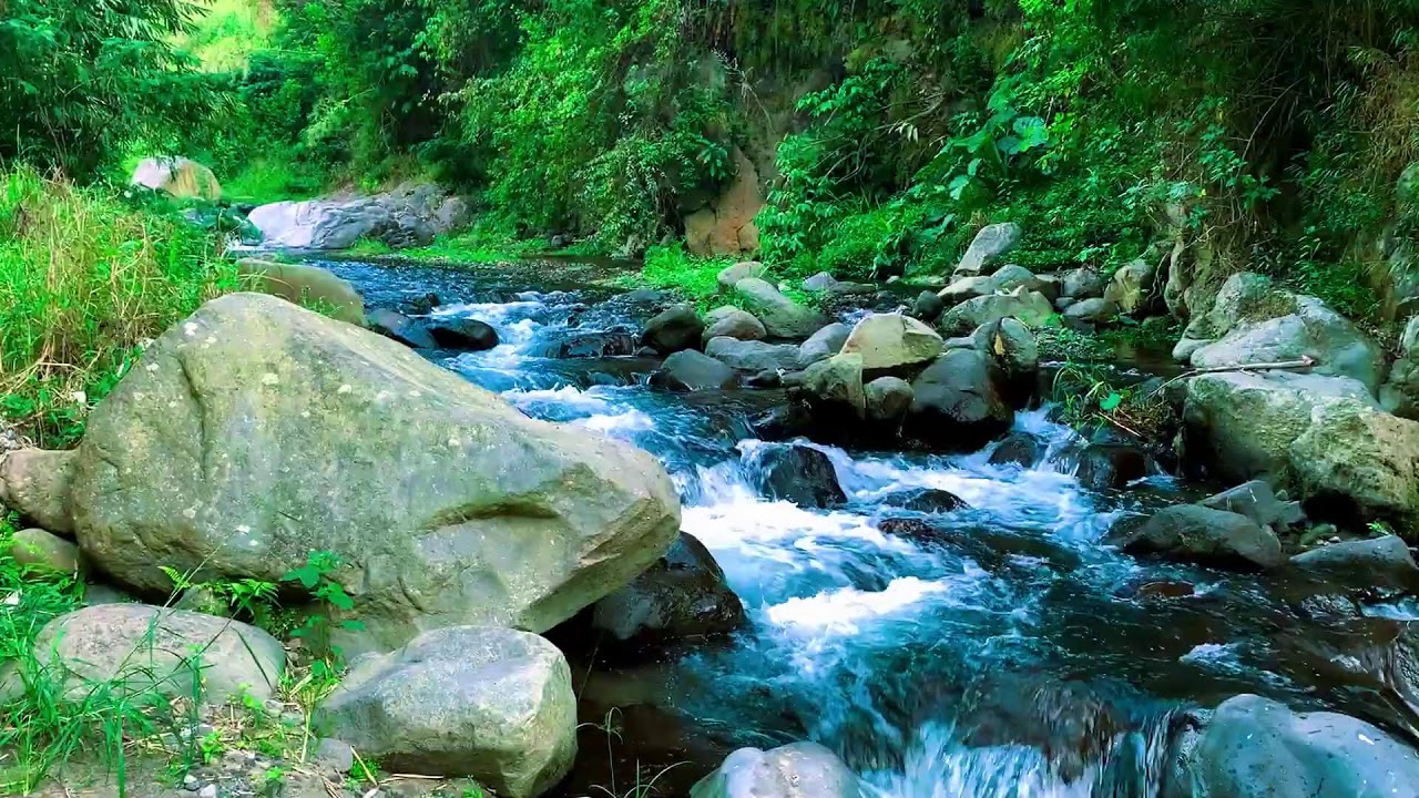 Dreamy Mountain River Atmosphere | For Mental Healing, Yoga & Tinnitus Relief