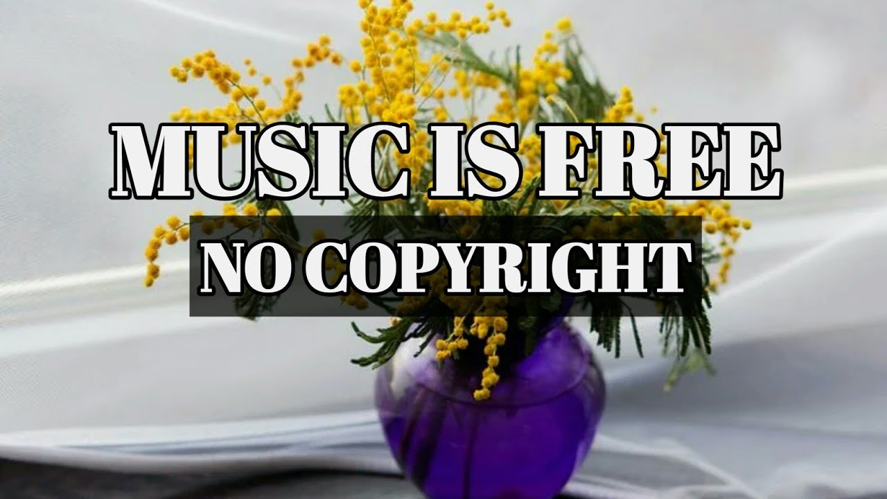 Ambient music - Musical genre - Music - Music Is Free - No Copyright Music