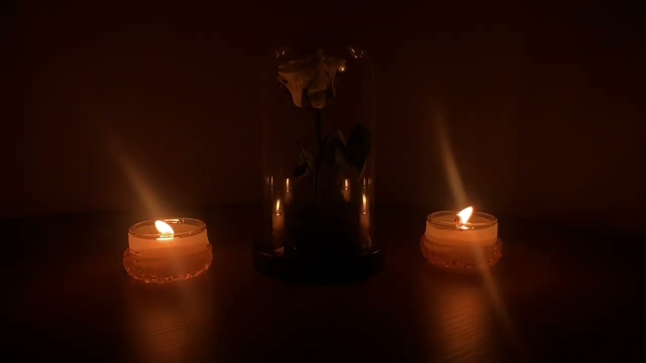Romantic Candlelight Ambience | Cozy Night Glow with Rose (No Sound, 4K)