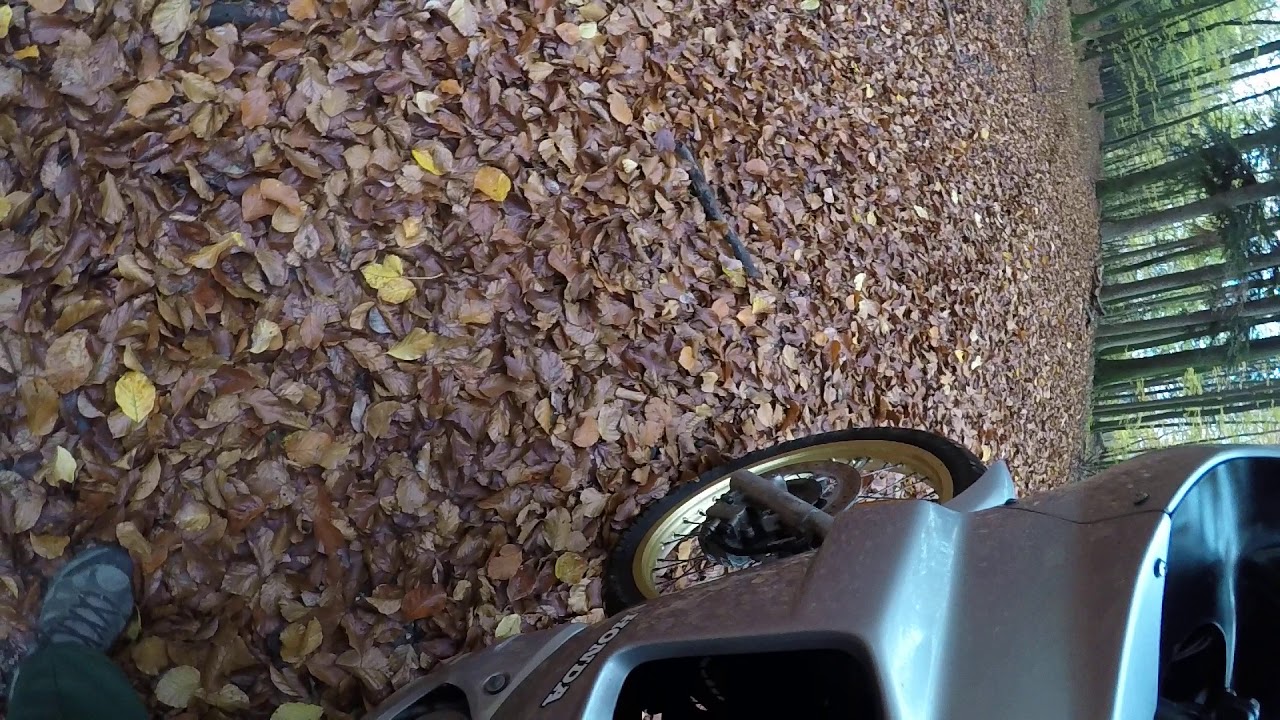 Transalp 600 pd06  Enduro Test