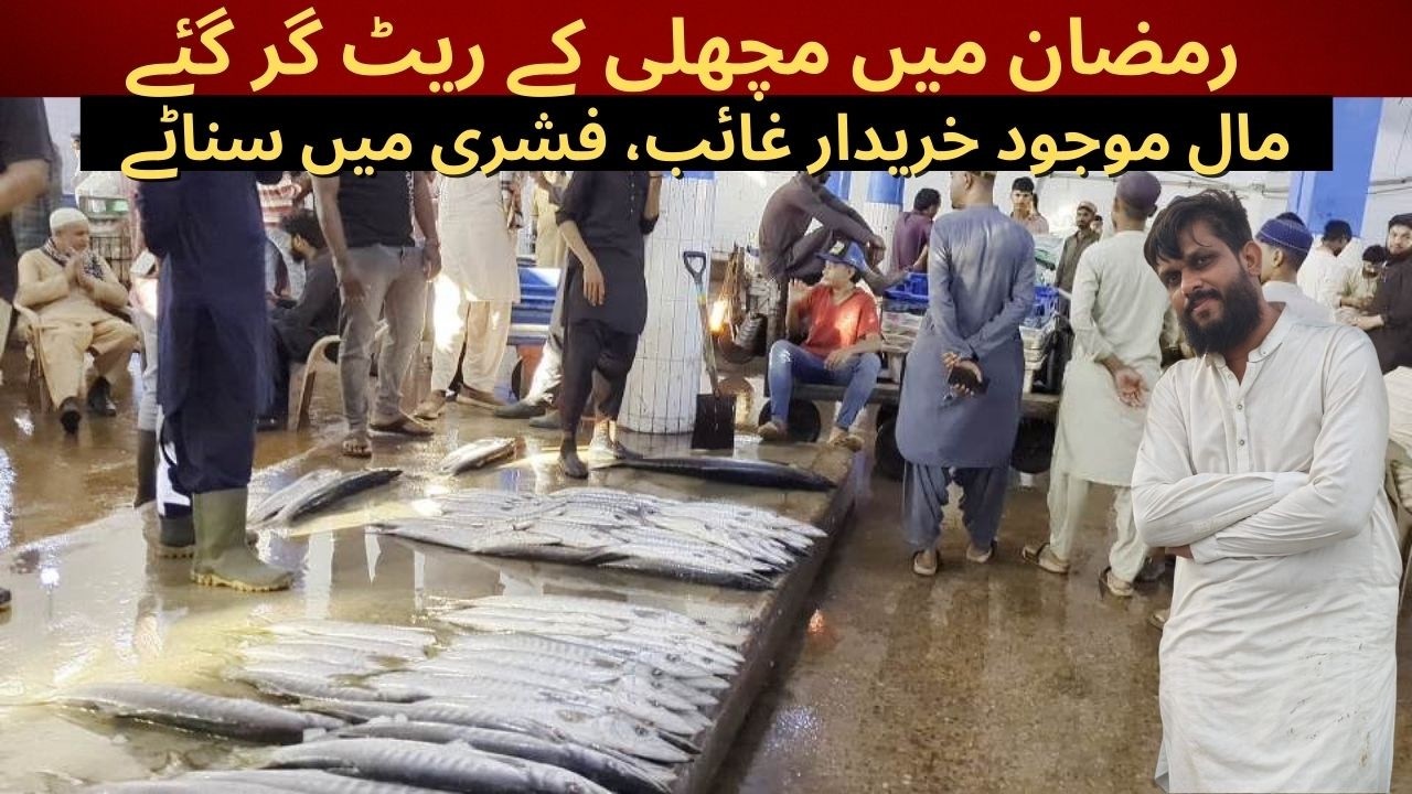 Ramdan Fish Market Update | Karachi Fishery | Karachi Fish Harbour 2026