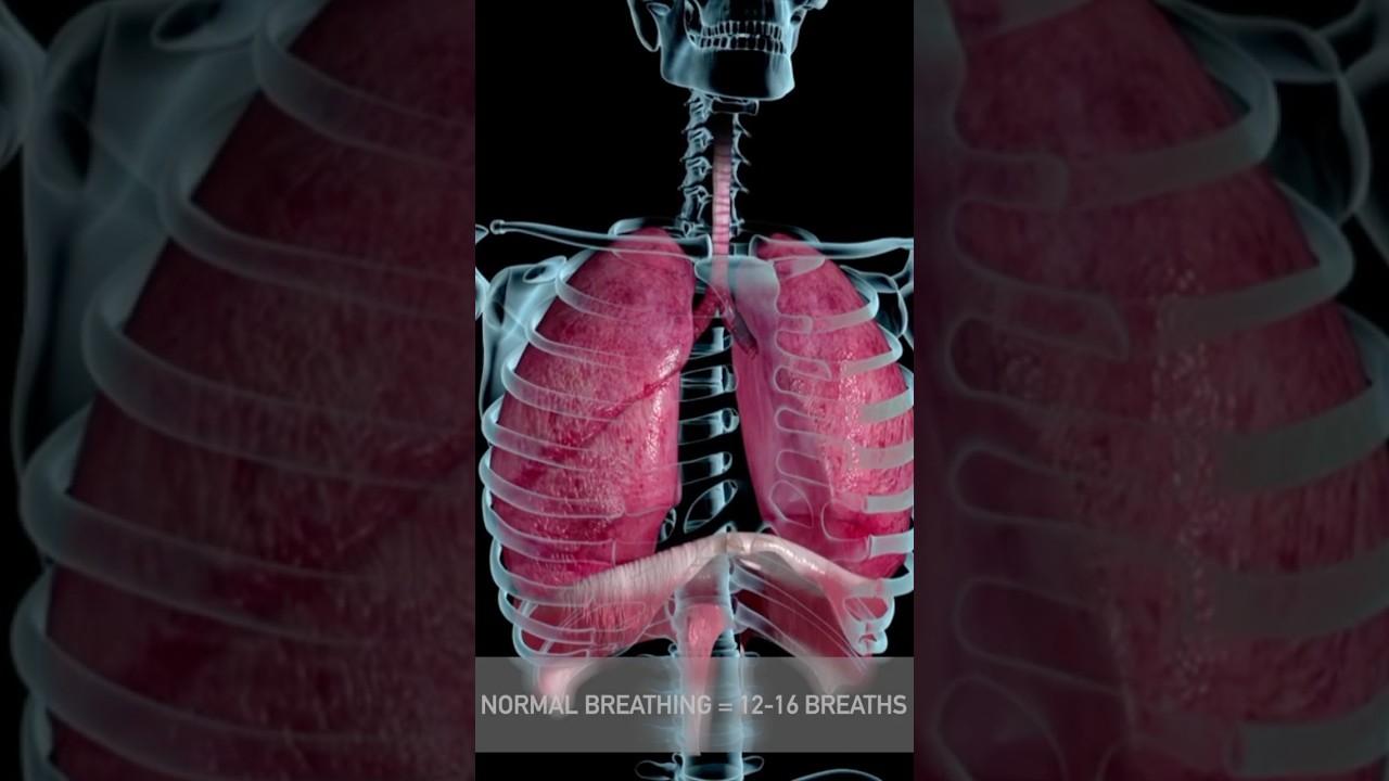 How to breath to activate the Parasympathetic Nervous System Part 1 #shorts