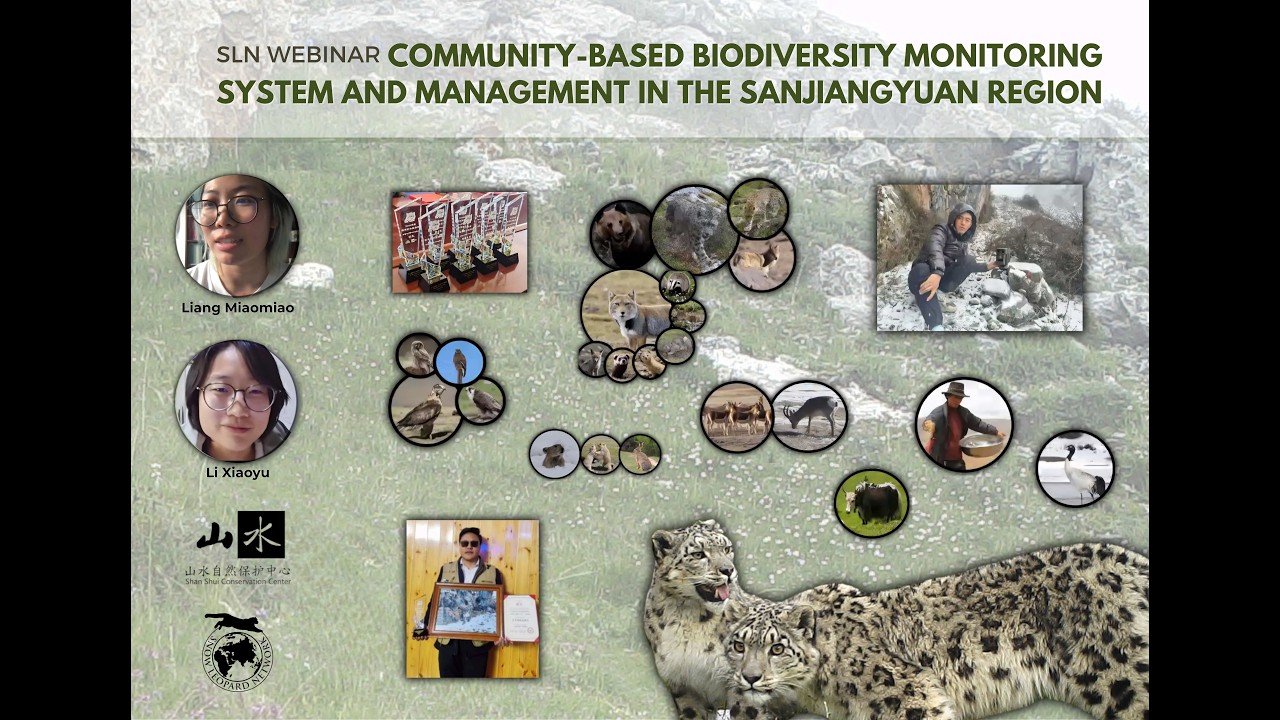 SLN Webinar: Community-based biodiversity monitoring system and management in Sanjiangyuan Region