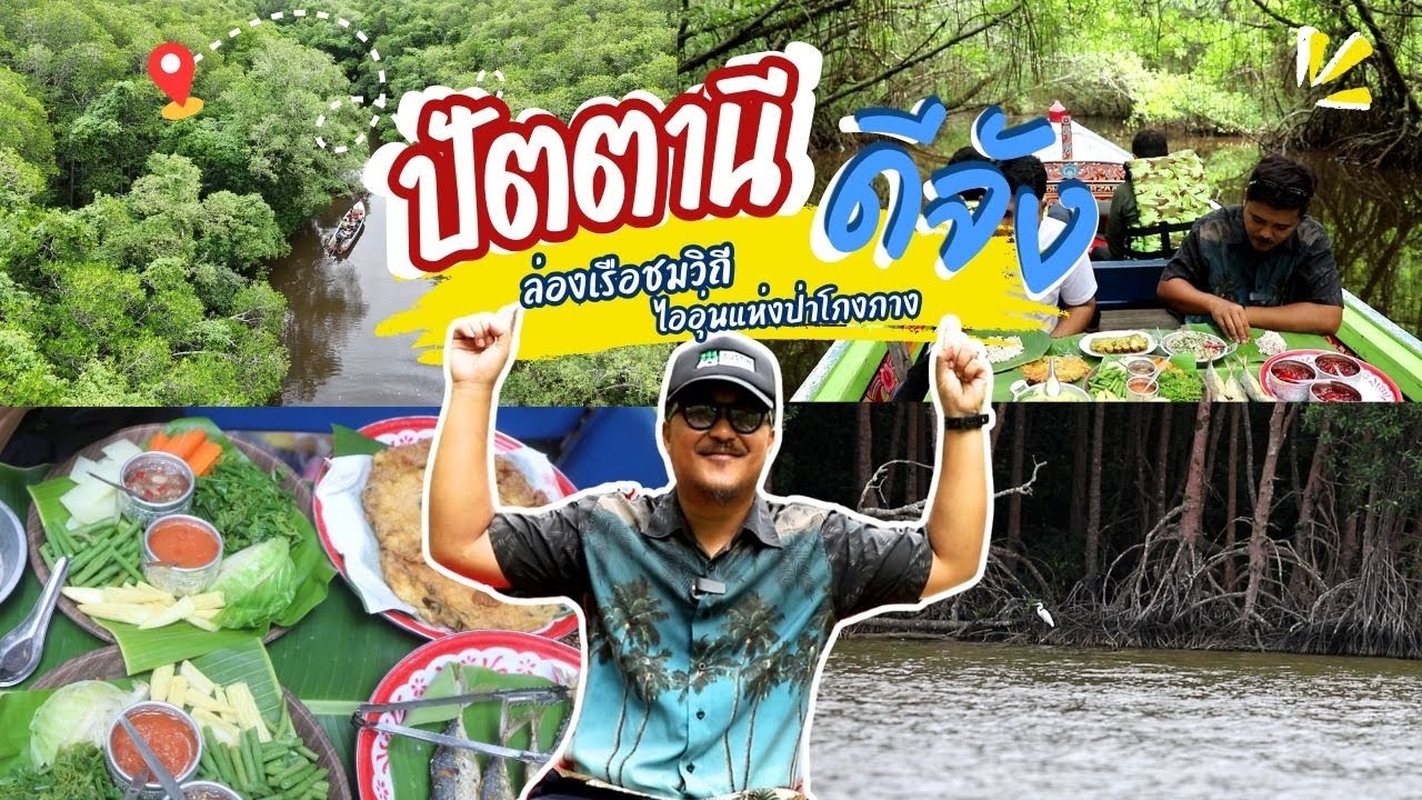 ปัตตานีดีจัง ตอน ล่องเรือชมวิถี ไออุ่นแห่งป่าโกงกาง