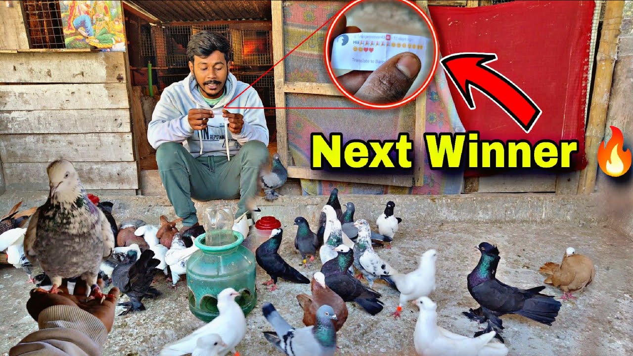 Giveaway র Next Winner পেয়ে গেছি 🔥#myworld #petsvlog 