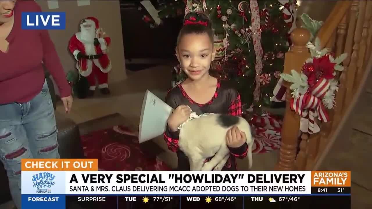 Santa & Mrs. Claus deliver adopted Arizona shelter dogs to their new home