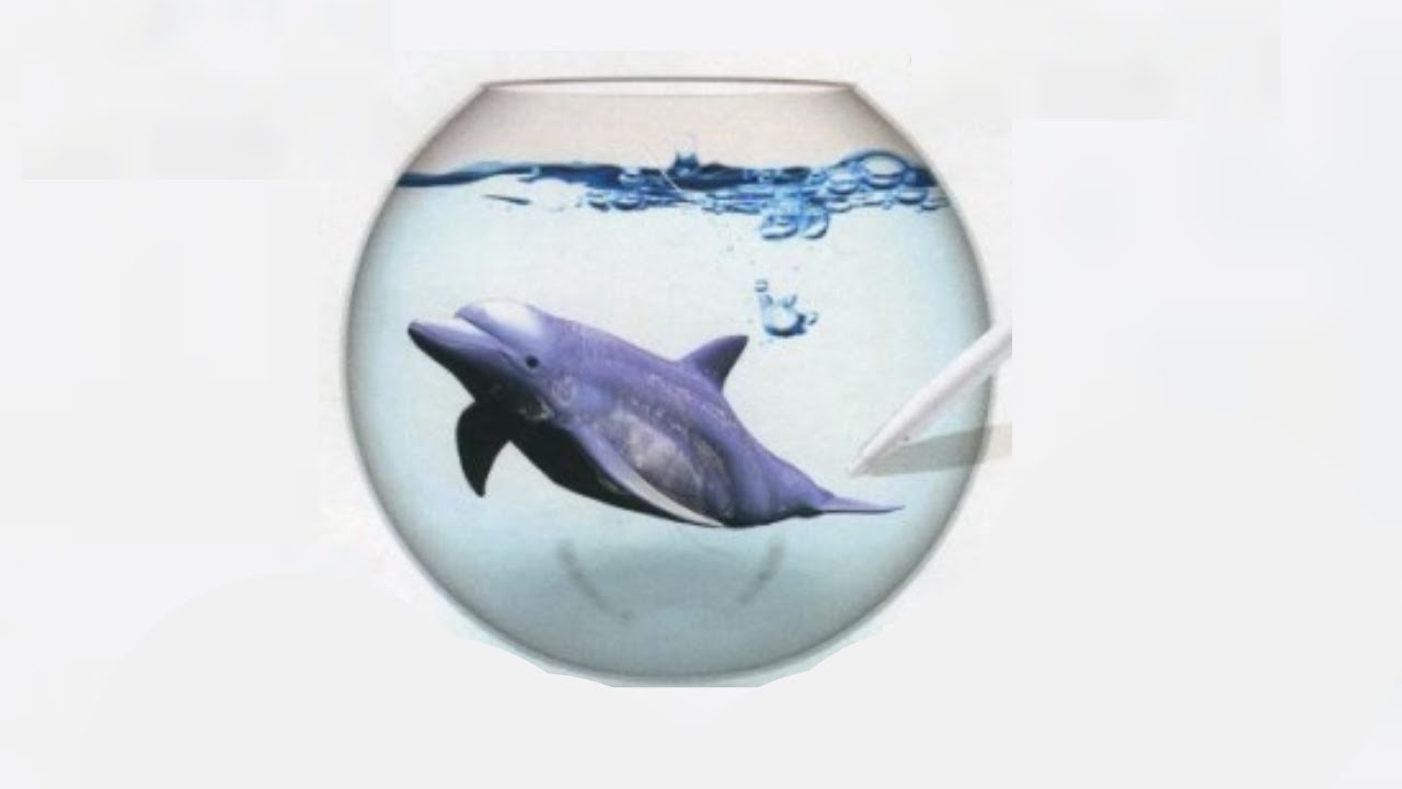 Aquarium by DS (OST)