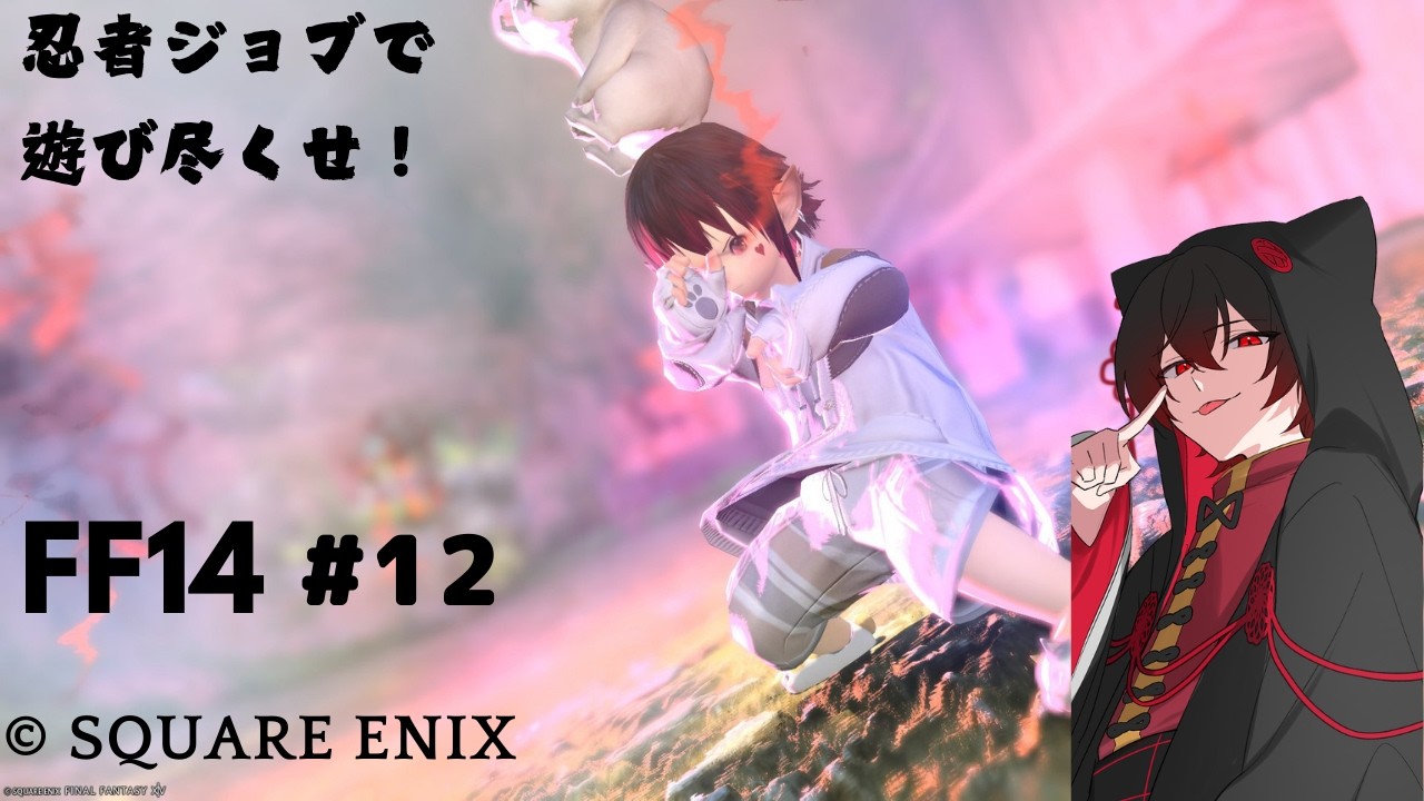 【FINAL FANTASY XIV】　忍者ジョブで大冒険　#12 概要確認必須