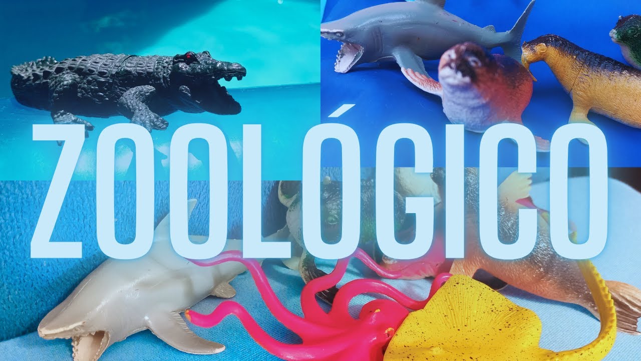 Zoológico Aquático: Tubarão ,Crocodilo ,Morsa ,Foca.