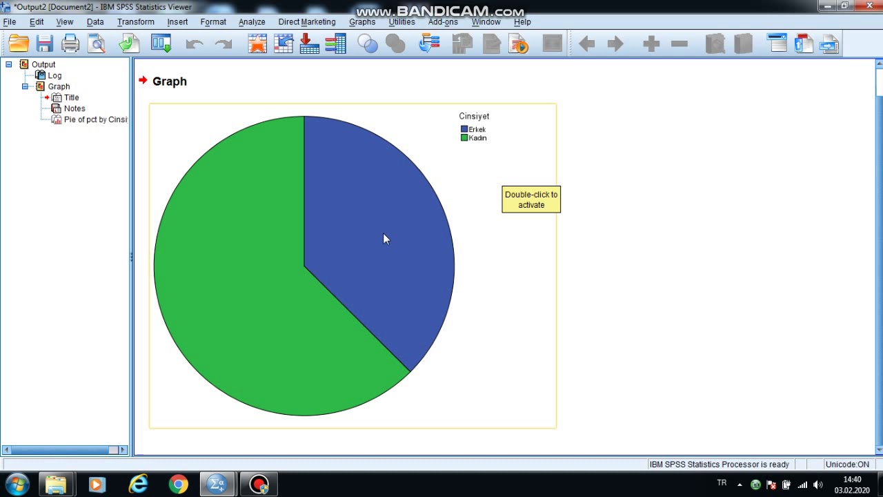 SPSS pasta (pie graphic) grafik oluşturma