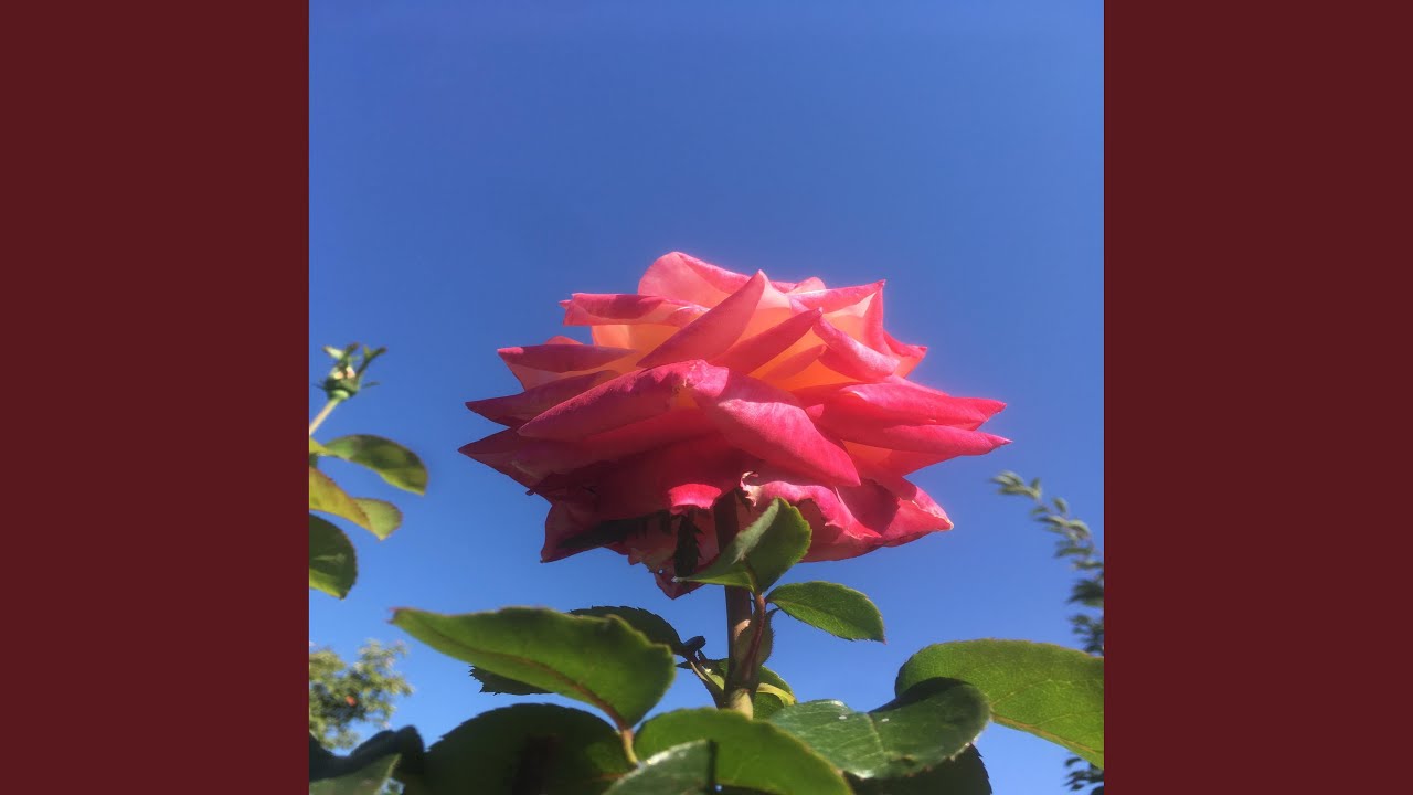 Ain't Finished (feat. Sean Dada)