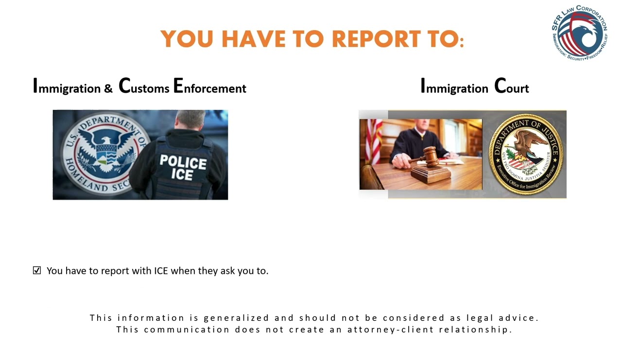 Different Types of Reporting with ICE