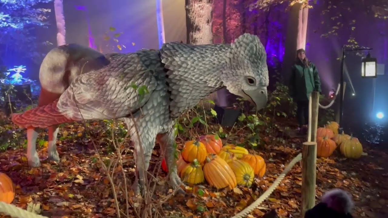 Harry Potter  : a Forbidden Forest Experience (Brussels)