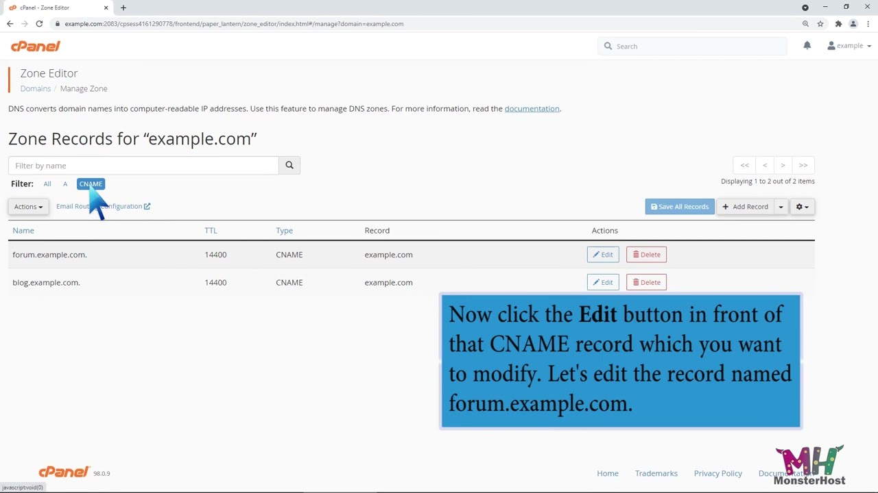 How to edit or delete CNAME Record in cPanel using the DNS Zone Editor with MonsterHost