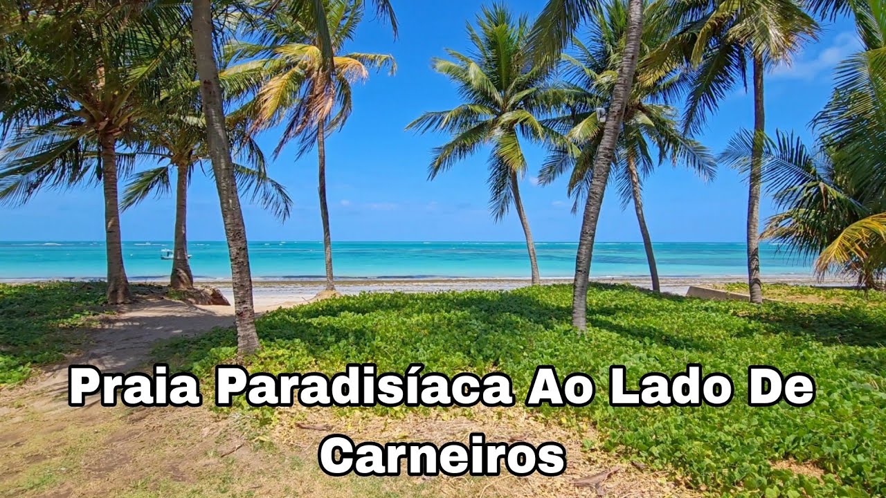 Tamandaré Pernambuco Praia Das Campas Como Chegar