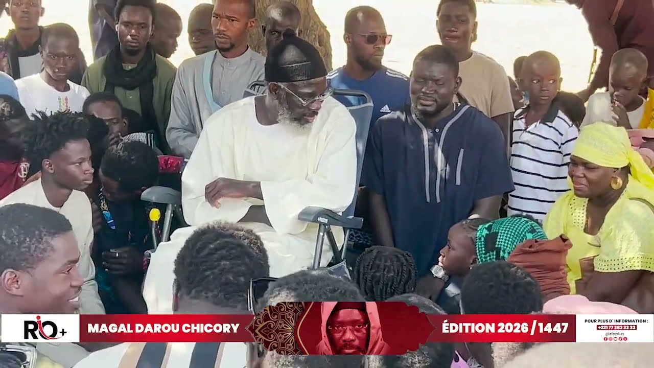 Takoussanou Magal Chicory 2026