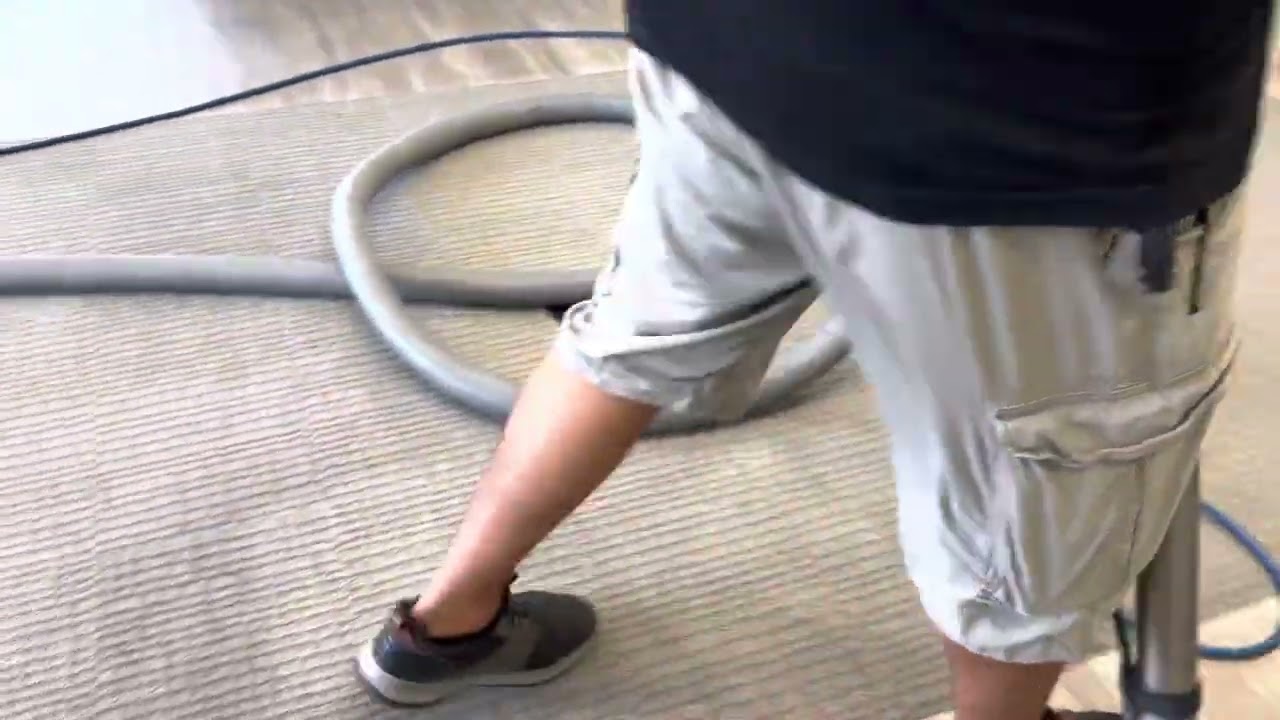 #asmr commercial carpet cleaning