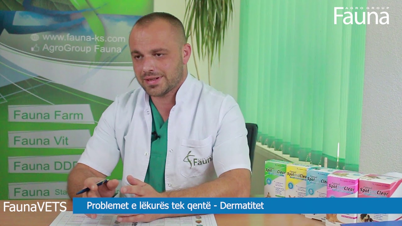 Dermatiti - Problemet e lëkurës tek qentë
