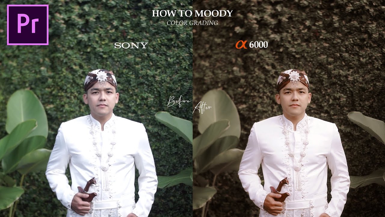 Tutorial Color Grading Moody Filmic Cinematic Look | Adobe Premiere pro (FREE LUTS)