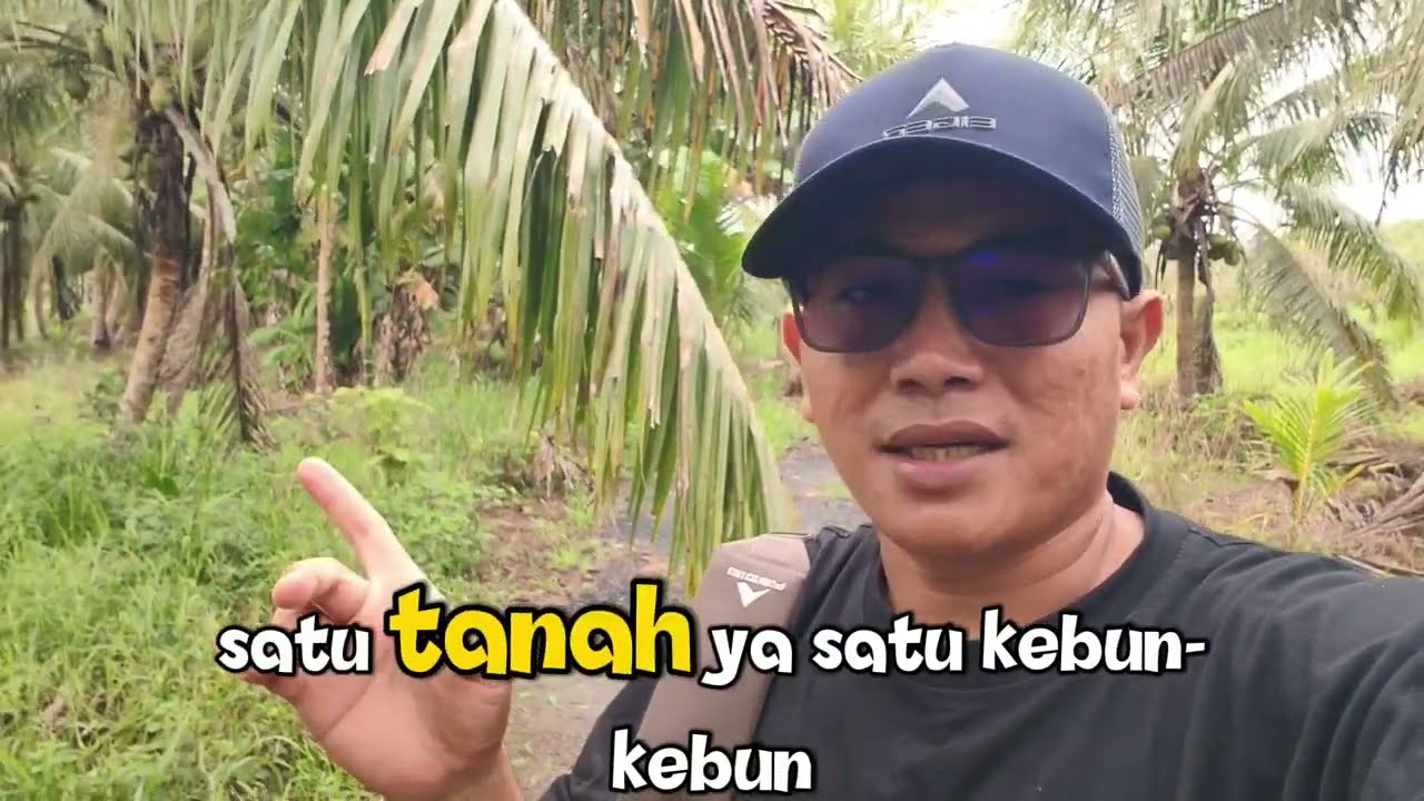 Jual Kebun Jeruk Siap Panen Bosku