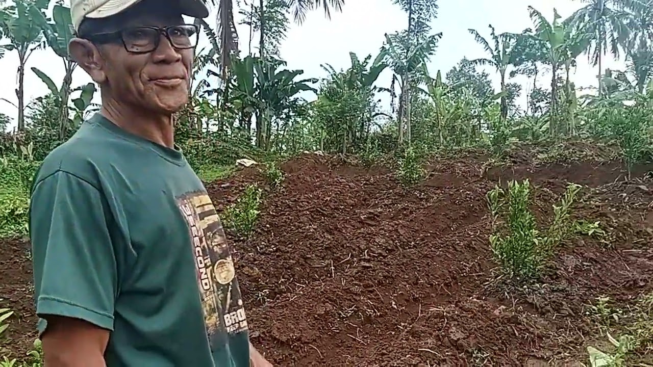Cokun thailand dan Ubi jalar