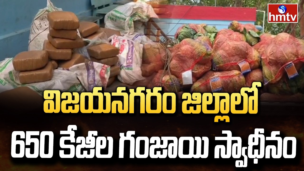 విజయనగరం జిల్లాలో 650 కేజీల గంజాయి స్వాధీనం | Ganja Seized in Vizianagaram DIst | hmtv