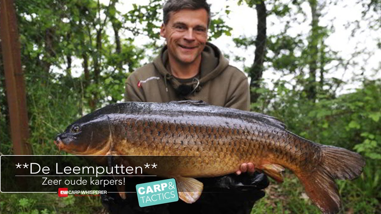 De Leemputten in Groenlo 45 plus karper !!