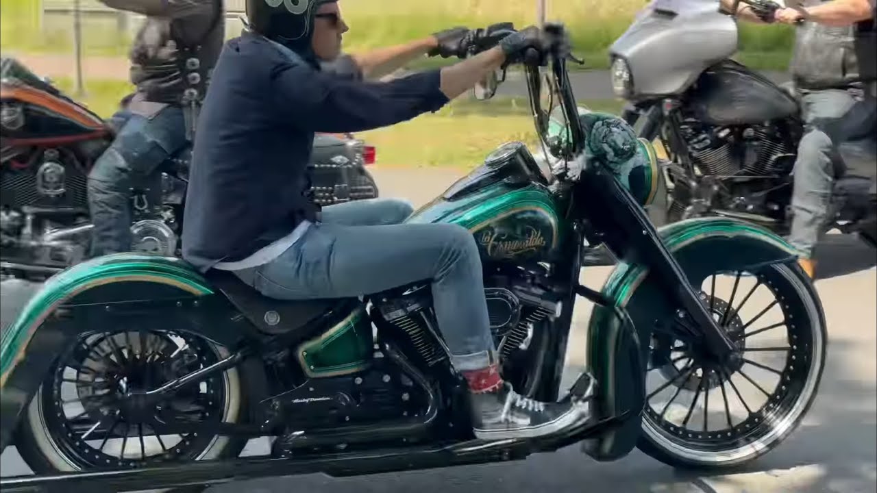 Harley Rider, Germany, Hamminkeln, 2025, Part  3 #harley #custom #harleydavidson