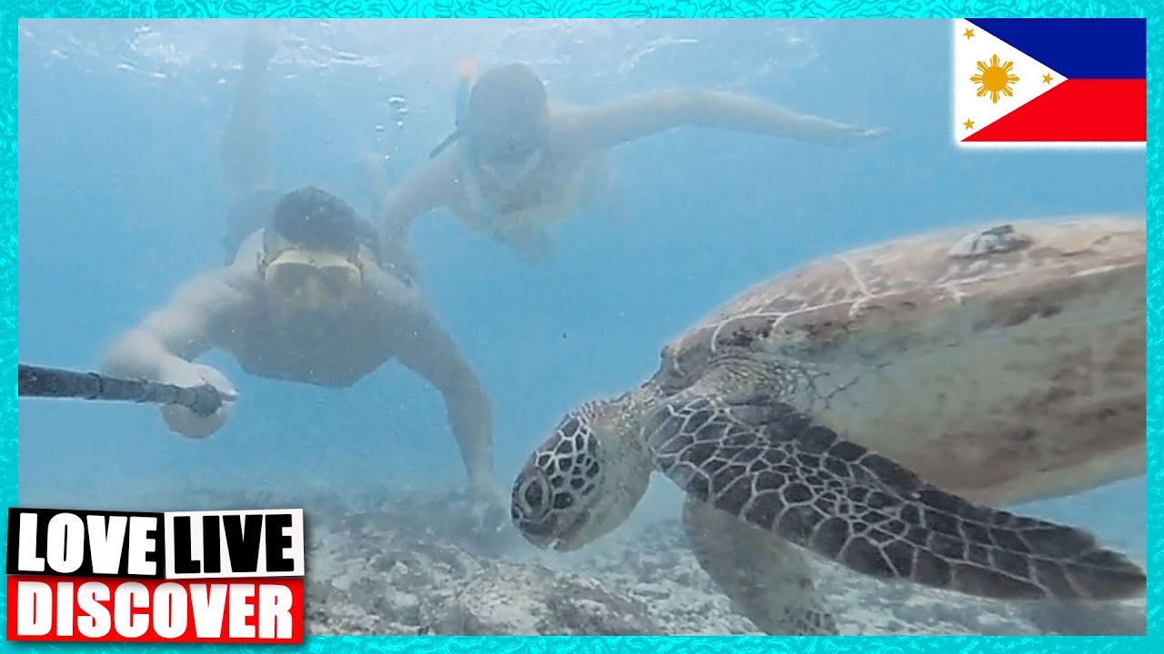 Unexpected Cebu: Lost Husband & the Most Epic Snorkel in Moalboal! 🇵🇭