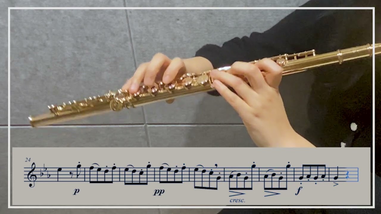 가리볼디 플루트 에튀드 Op. 131 14번 C Minor