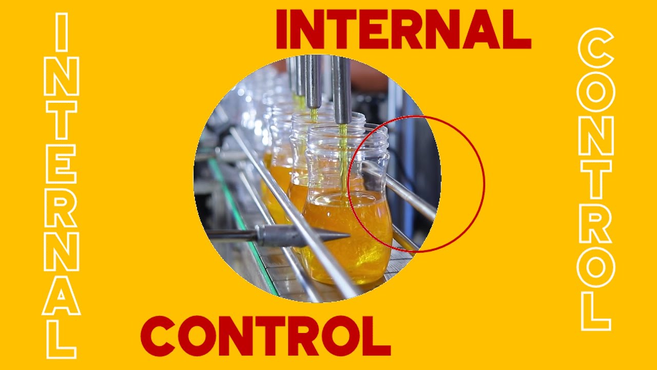 Internal Control - Overview