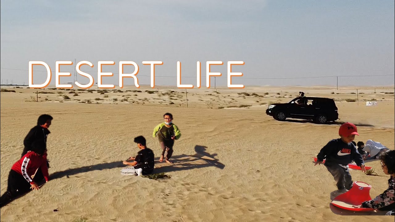 desert life in Abu dhabi part 2