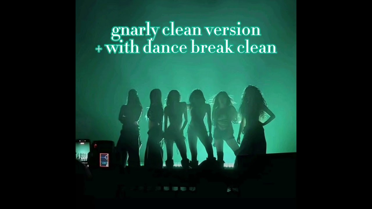 GNARLY CLEAN /WITH DANCE BREAK CLEAN VERSION💚