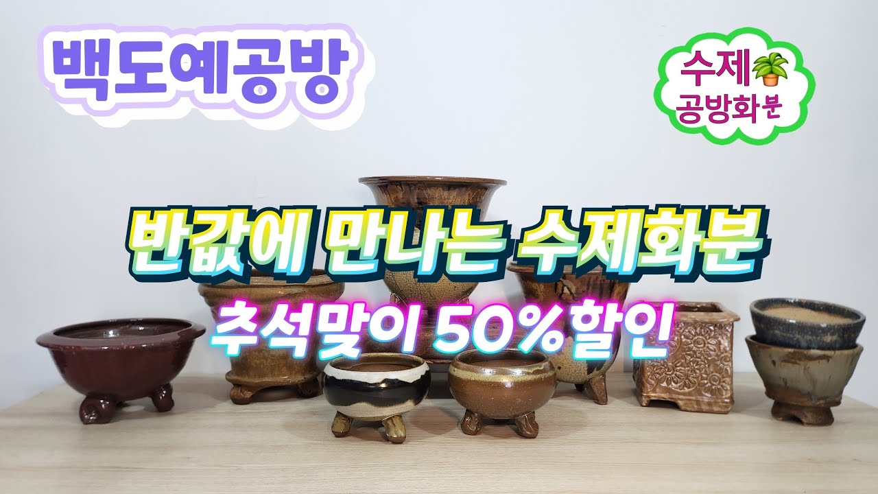 20250926(208회영상)지금이 기회!정성가득한 수제화분을 반값으로🤗놓치지 마세요🪴#수제화분 #다육화분 #야생화화분 #아프리카식물#공방분 #고급화분 #반값할인#분갈이화분 #식재