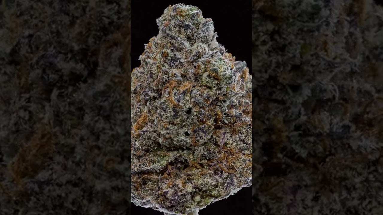 Nug Spin - Cosa Nostra by The Grower Circle