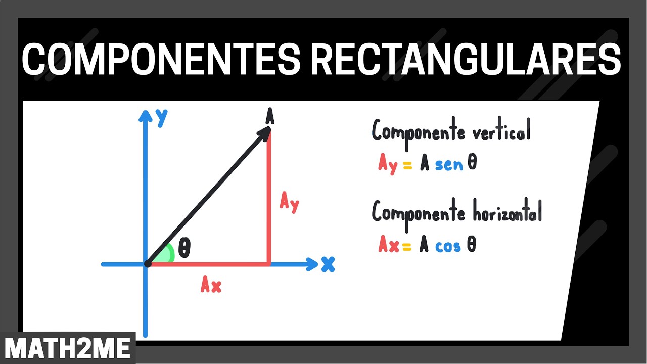 Componentes rectangulares de un vector | ejercicios