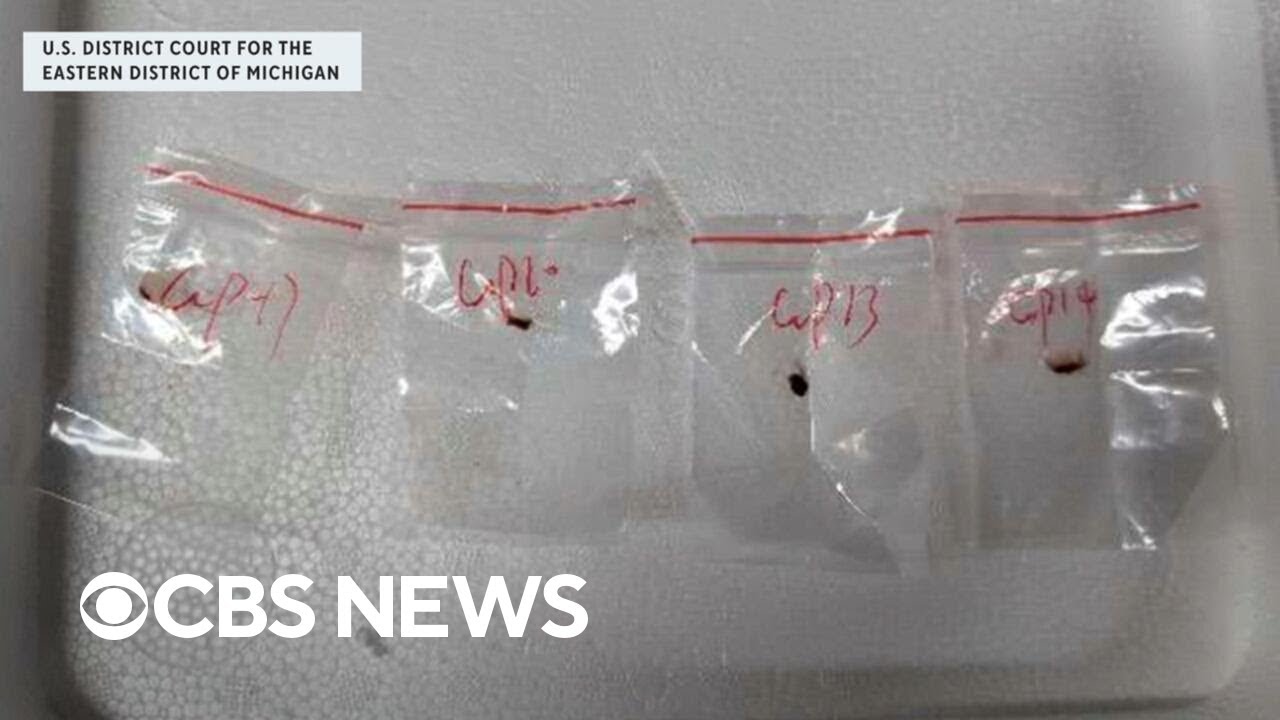 2 Chinese nationals charged with smuggling potential bioweapon fungus into U.S.