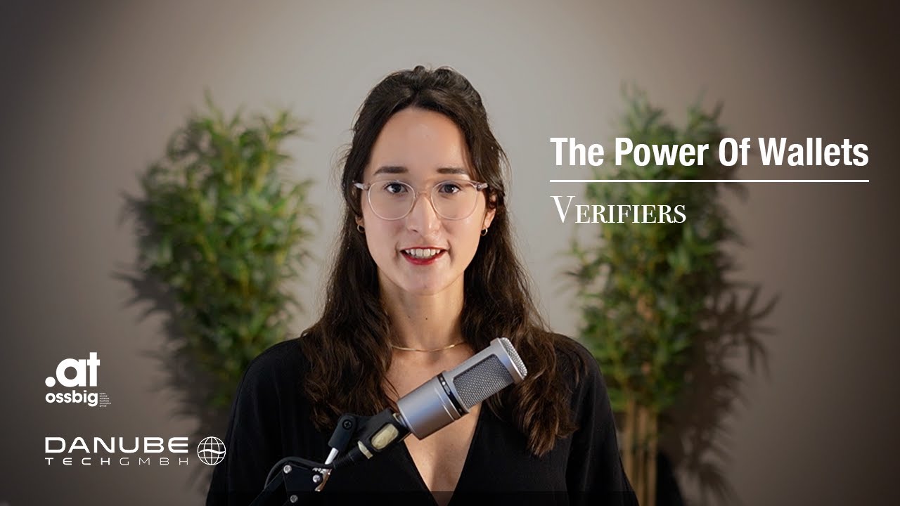 The Power of Wallets - Verifiers