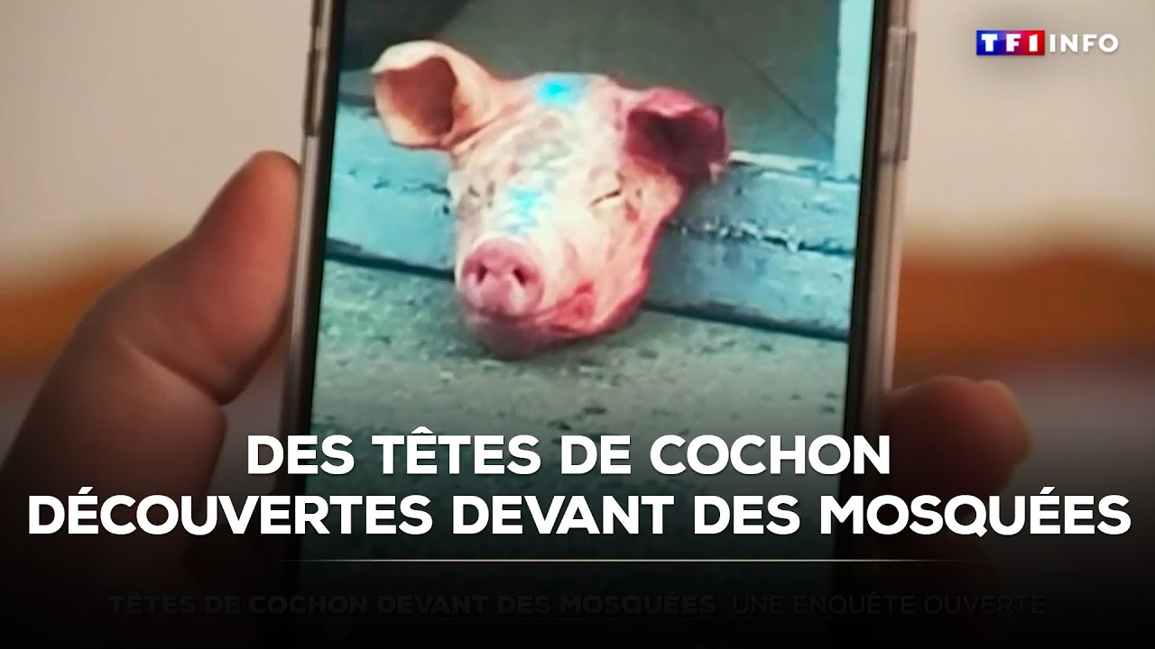 Têtes de cochon découvertes devant des mosquées : qui sont les auteurs des faits ? ｜TF1 INFO